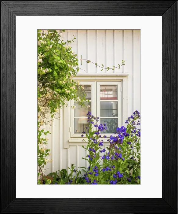 Framed Print : Sweden, Bohuslan, Smogen, house detail Date: 01-06-2019 Framed Print : Sweden, Bohuslan, Smogen, house detail Date: 01-06-2019