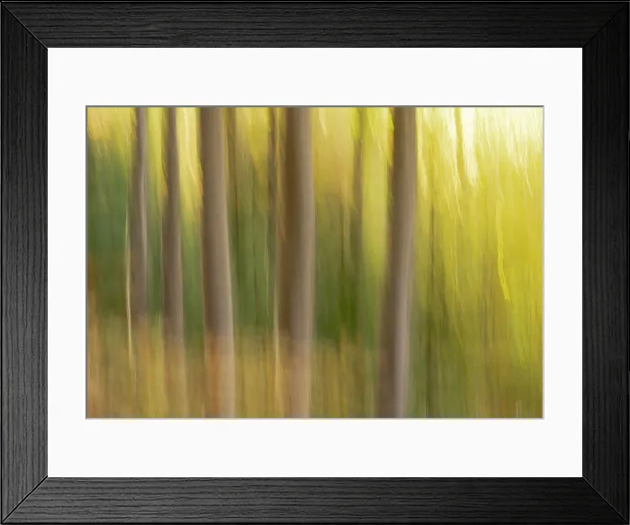Framed Print : Slovenia, Triglav National Park. Freeform images of tree trunks with fall colors behind. Date: 15-10-2021 Framed Print : Slovenia, Triglav National Park. Freeform images of tree trunks with fall colors behind. Date: 15-10-2021