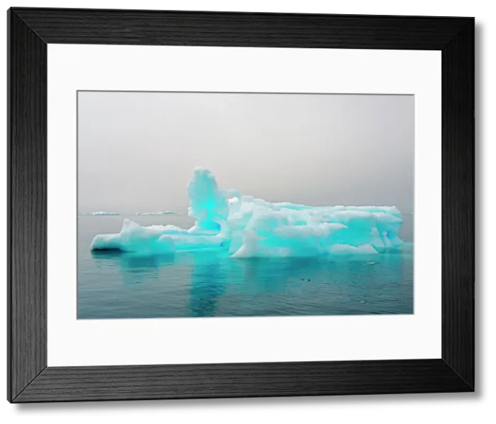 Framed Print : Blue iceberg in the fjord of Narsarsuaq, Greenland Date: 31-07-2017 Framed Print : Blue iceberg in the fjord of Narsarsuaq, Greenland Date: 31-07-2017