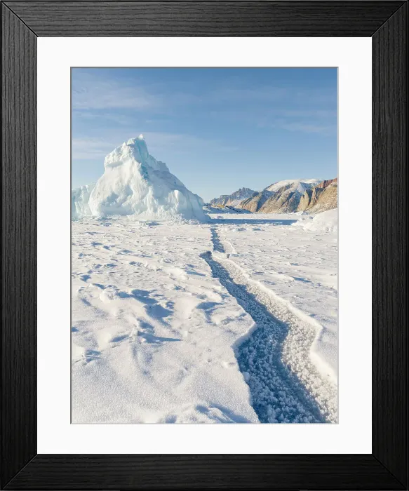 Framed Print : Icebergs in front of Appat Island, frozen into the sea ice of the Uummannaq fjord system during winter. Greenland, Danish Territory Date: 06-03-2020 Framed Print : Icebergs in front of Appat Island, frozen into the sea ice of the Uummannaq fjord system during winter. Greenland, Danish Territory Date: 06-03-2020
