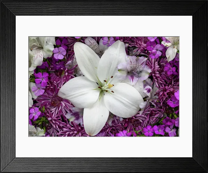 Framed Print : Flowers-lily, alstroemeria, dianthus and chrysanthemum arrangement, Marion County, Illinois. Date: 17-01-2021 Framed Print : Flowers-lily, alstroemeria, dianthus and chrysanthemum arrangement, Marion County, Illinois. Date: 17-01-2021