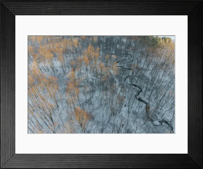 Framed Print : Aerial of snowy trees, Marion County, Illinois. Date: 26-02-2021 Framed Print : Aerial of snowy trees, Marion County, Illinois. Date: 26-02-2021