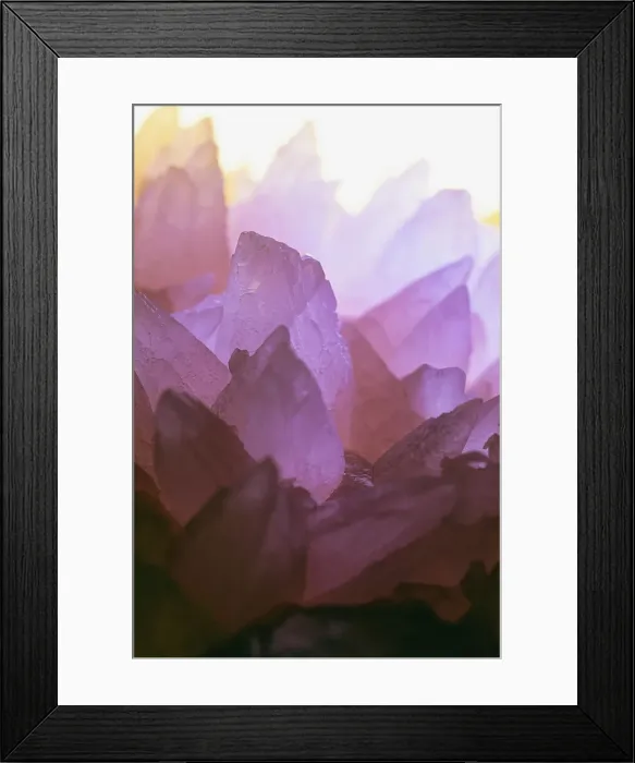 Framed Print : Rose Quartz Date: 12-04-2019 Framed Print : Rose Quartz Date: 12-04-2019