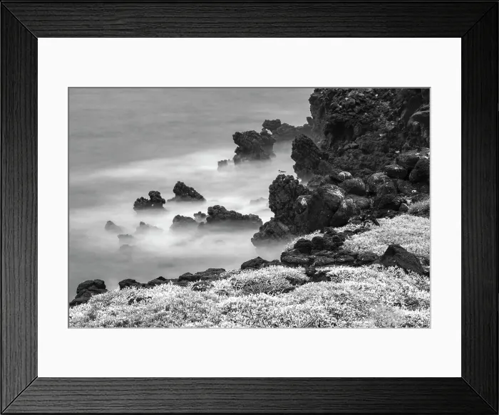 Framed Print : Rocky shoreline covered in Sesuvium, South Plaza Island, Galapagos Islands, Ecuador. Date: 28-07-2021 Framed Print : Rocky shoreline covered in Sesuvium, South Plaza Island, Galapagos Islands, Ecuador. Date: 28-07-2021