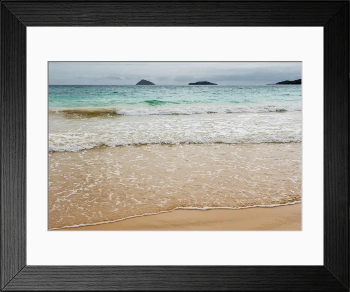 Framed Print : Floreana Island, Galapagos islands, Ecuador. Date: 02-11-2017 Framed Print : Floreana Island, Galapagos islands, Ecuador. Date: 02-11-2017