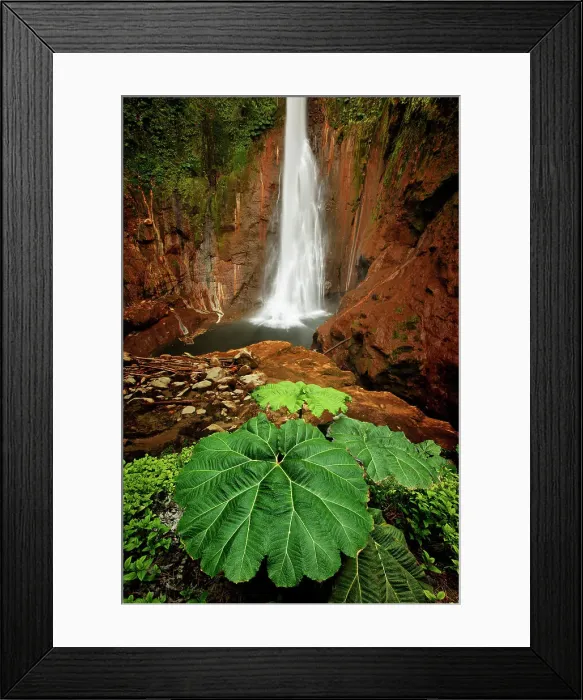 Framed Print : Catarata Del Toro Waterfall, in the mountains of Bajos del Toro Amarillo, Sarchi, Costa Rica Date: 18-03-2011 Framed Print : Catarata Del Toro Waterfall, in the mountains of Bajos del Toro Amarillo, Sarchi, Costa Rica Date: 18-03-2011