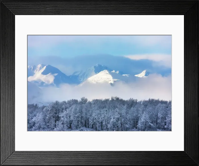 Framed Print : Landscape of forest and snow mountain, Haines, Alaska, USA Date: 14-11-2011 Framed Print : Landscape of forest and snow mountain, Haines, Alaska, USA Date: 14-11-2011