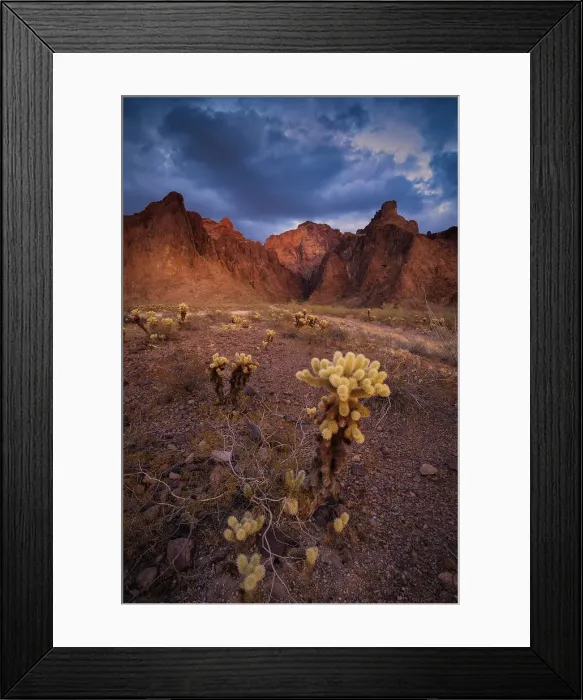 Framed Print : USA, Arizona, Kofa National Wildlife Area. Mountain and desert landscape. Date: 29-01-2021