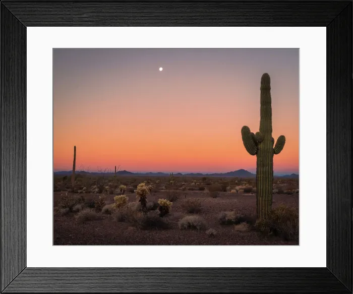 Framed Print : USA, Arizona, Kofa National Wildlife Area. Mountain and desert landscape at sunset. Date: 01-02-2021 Framed Print : USA, Arizona, Kofa National Wildlife Area. Mountain and desert landscape at sunset. Date: 01-02-2021
