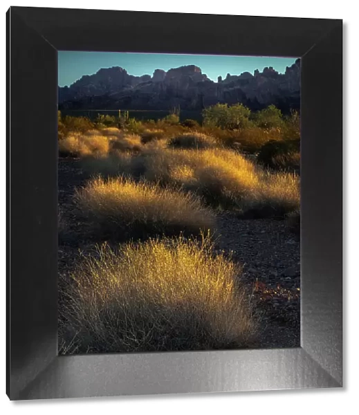 USA, Arizona, Kofa National Wildlife Area. Mountain and desert landscape at sunrise. Date: 01-02-2021