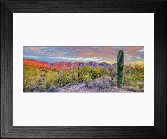 Framed Print : USA, Arizona, Catalina. Panoramic of sunset on desert and Catalina Mountains. Date: 18-03-2021 Framed Print : USA, Arizona, Catalina. Panoramic of sunset on desert and Catalina Mountains. Date: 18-03-2021
