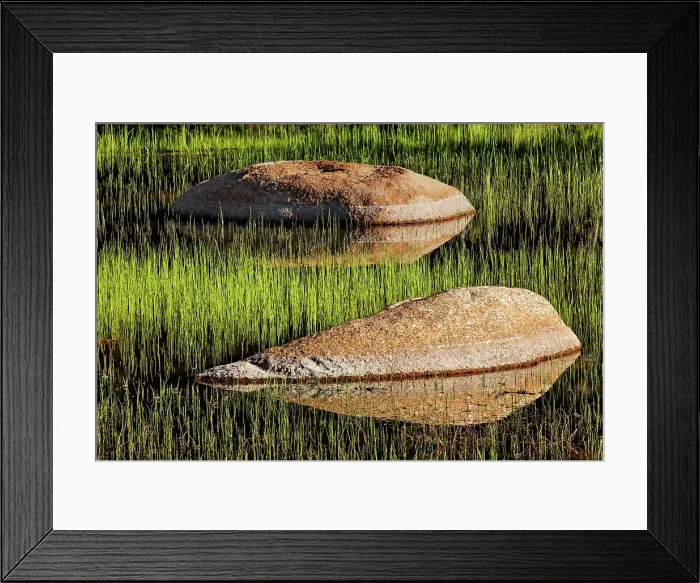 Framed Print : Rocks and grass at first light, Tuolumne Meadows, Yosemite National Park, California Date: 25-07-2011 Framed Print : Rocks and grass at first light, Tuolumne Meadows, Yosemite National Park, California Date: 25-07-2011