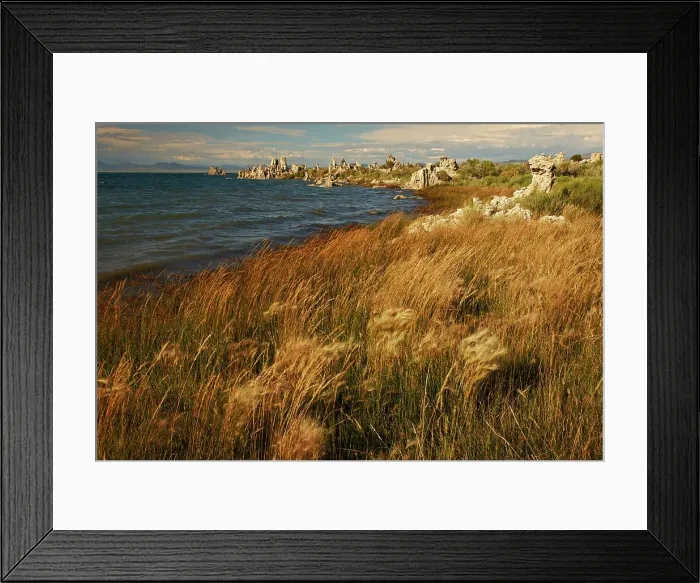Framed Print : Sunset light on tufa formation, Mono Lake, Tufa State Natural Reserve, California Date: 30-07-2011 Framed Print : Sunset light on tufa formation, Mono Lake, Tufa State Natural Reserve, California Date: 30-07-2011