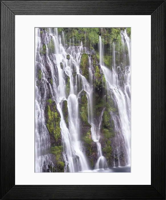 Framed Print : USA, California, McArthur-Burney Falls State Park. Burney Creek waterfall and ferns. Date: 07-04-2021 Framed Print : USA, California, McArthur-Burney Falls State Park. Burney Creek waterfall and ferns. Date: 07-04-2021
