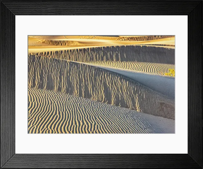 Framed Print : Mesquite Dunes, Death Valley National Park, California. Date: 16-02-2021 Framed Print : Mesquite Dunes, Death Valley National Park, California. Date: 16-02-2021