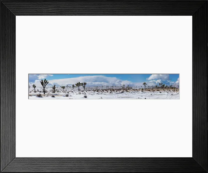 Framed Print : Winter storm, Joshua Tree National Park, California Date: 26-01-2020 Framed Print : Winter storm, Joshua Tree National Park, California Date: 26-01-2020