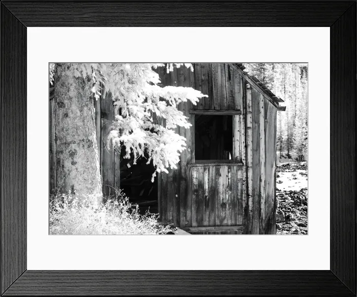 Framed Print : USA, Colorado, Old Mining Shack Date: 29-09-2006 Framed Print : USA, Colorado, Old Mining Shack Date: 29-09-2006