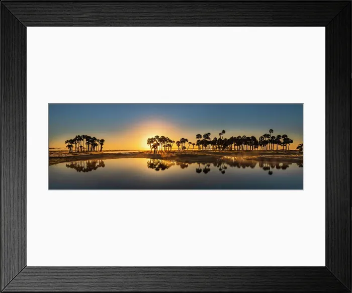 Framed Print : Sable palms silhouetted at sunrise on the Econlockhatchee River, a blackwater tributary of the St. Johns River, near Orlando, Florida Date: 11-03-2021 Framed Print : Sable palms silhouetted at sunrise on the Econlockhatchee River, a blackwater tributary of the St. Johns River, near Orlando, Florida Date: 11-03-2021