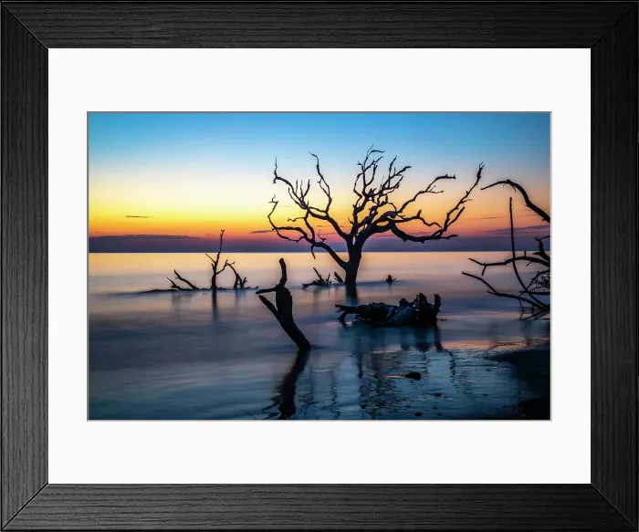 Framed Print : USA, Georgia, Jekyll Island, Sunrise on Driftwood Beach of petrified trees Date: 26-02-2021 Framed Print : USA, Georgia, Jekyll Island, Sunrise on Driftwood Beach of petrified trees Date: 26-02-2021