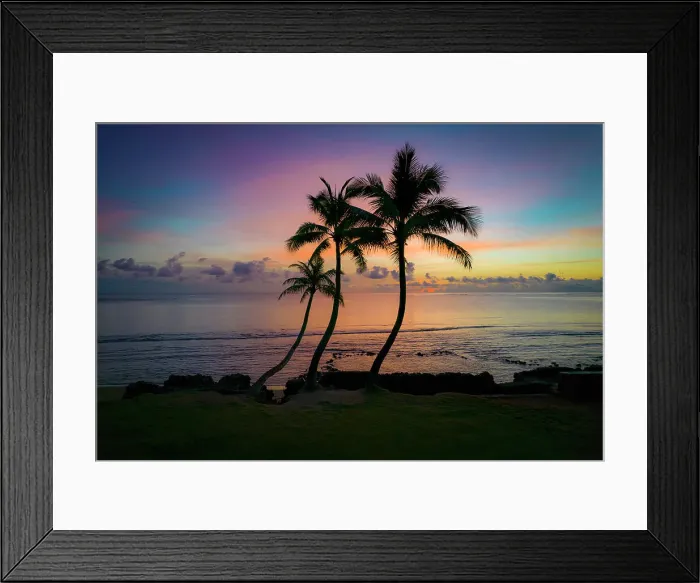 Framed Print : Three coconut palm tree, Sunrise, Hauula, Windward, Oahu, Hawaii Date: 28-04-2021 Framed Print : Three coconut palm tree, Sunrise, Hauula, Windward, Oahu, Hawaii Date: 28-04-2021