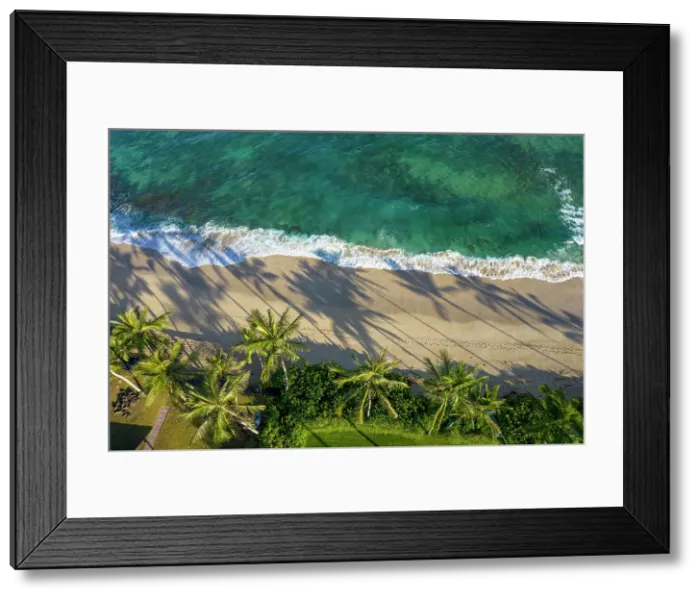 Framed Print : Laniakea Beach, North Shore, Oahu, Hawaii Date: 28-04-2021 Framed Print : Laniakea Beach, North Shore, Oahu, Hawaii Date: 28-04-2021