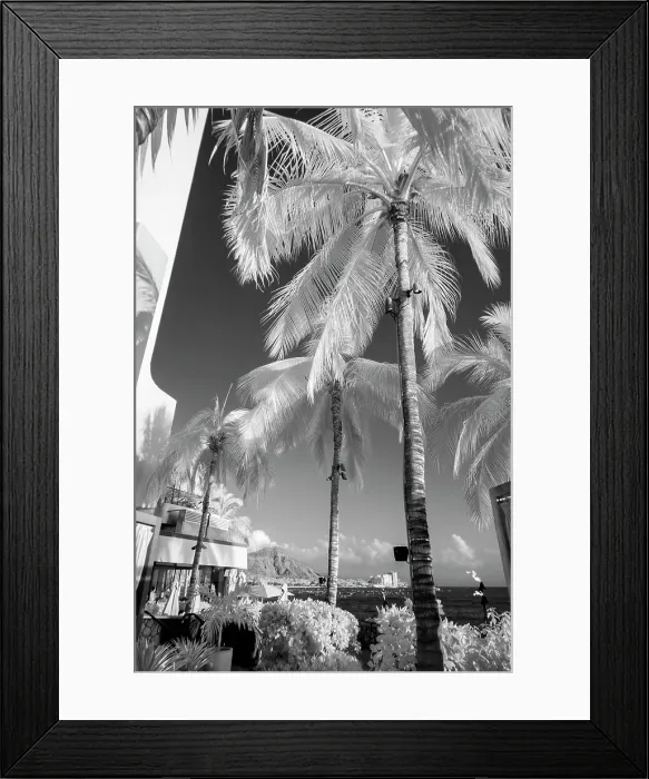 Framed Print : Infrared, Waikiki, Honolulu, Waikiki, Hawaii Date: 31-03-2014 Framed Print : Infrared, Waikiki, Honolulu, Waikiki, Hawaii Date: 31-03-2014
