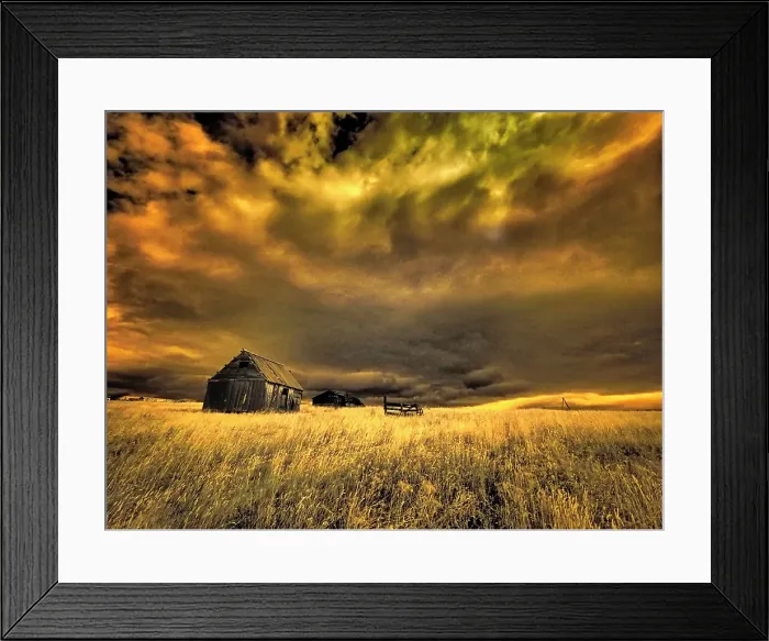 Framed Print : USA, Idaho, Liberty, Infrared of old cabin near Liberty Date: 26-09-2020 Framed Print : USA, Idaho, Liberty, Infrared of old cabin near Liberty Date: 26-09-2020