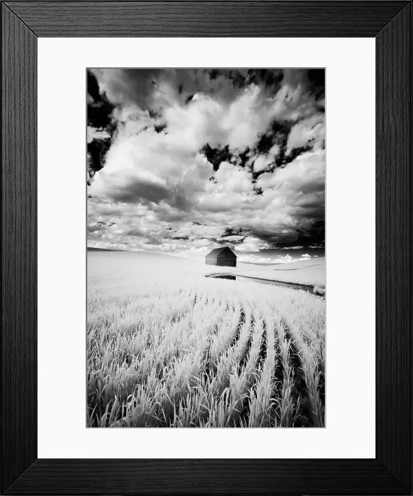 Framed Print : Infrared Palouse fields and barn. (PR) Date: 12-06-2011 Framed Print : Infrared Palouse fields and barn. (PR) Date: 12-06-2011