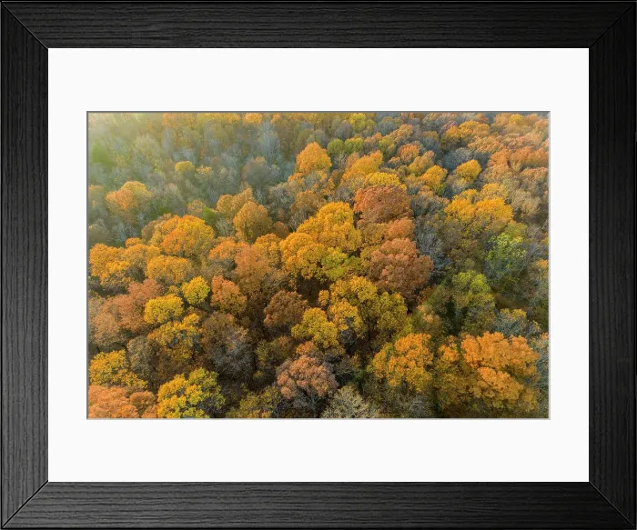 Framed Print : Aerial view of fall color, Marion County, Illinois Date: 05-11-2020 Framed Print : Aerial view of fall color, Marion County, Illinois Date: 05-11-2020