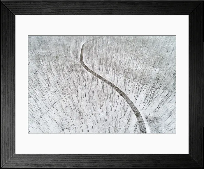 Framed Print : Aerial view of a fresh snow over the forest and road, Marion County, Illinois Date: 30-01-2020 Framed Print : Aerial view of a fresh snow over the forest and road, Marion County, Illinois Date: 30-01-2020