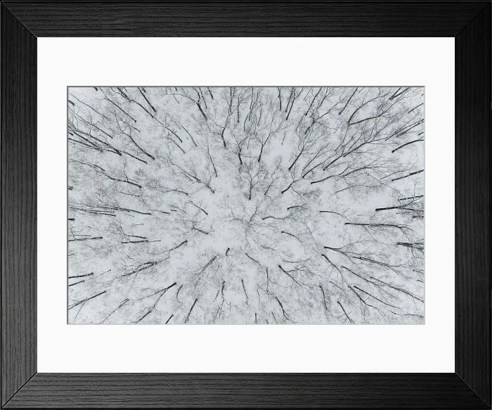 Framed Print : Aerial view of woods after a snowfall, Marion County, Illinois Date: 16-12-2020 Framed Print : Aerial view of woods after a snowfall, Marion County, Illinois Date: 16-12-2020