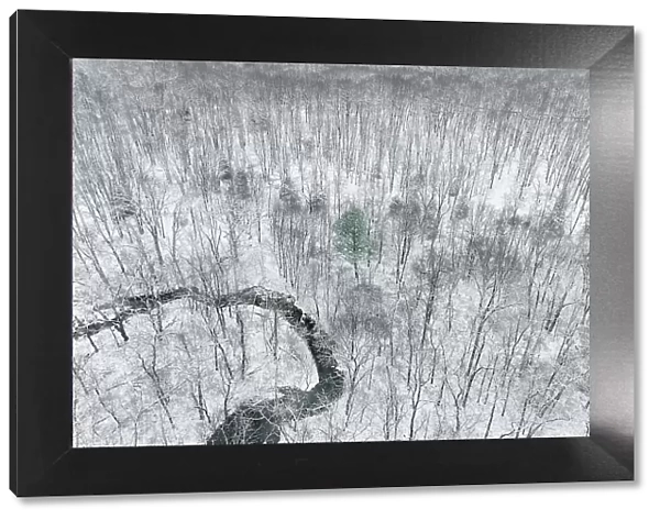 Aerial view of woods after a snowfall, Marion County, Illinois Date: 16-12-2020