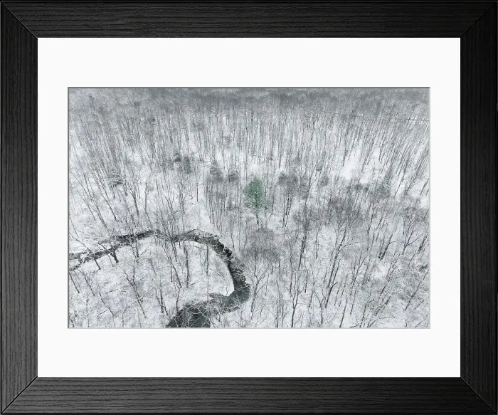 Framed Print : Aerial view of woods after a snowfall, Marion County, Illinois Date: 16-12-2020 Framed Print : Aerial view of woods after a snowfall, Marion County, Illinois Date: 16-12-2020