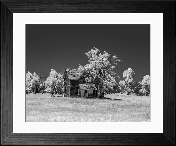 Framed Print : Old deserted farm house with plow Date: 22-06-2009