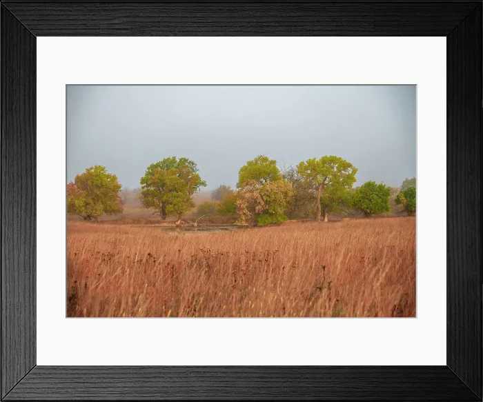 Framed Print : Early morning fog in the Flint Hills of Kansas Date: 10-10-2020 Framed Print : Early morning fog in the Flint Hills of Kansas Date: 10-10-2020