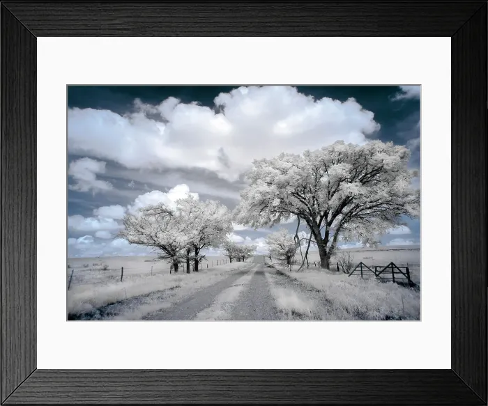 Framed Print : Dirt road in the Flint Hills of Kansas Date: 22-05-2016 Framed Print : Dirt road in the Flint Hills of Kansas Date: 22-05-2016