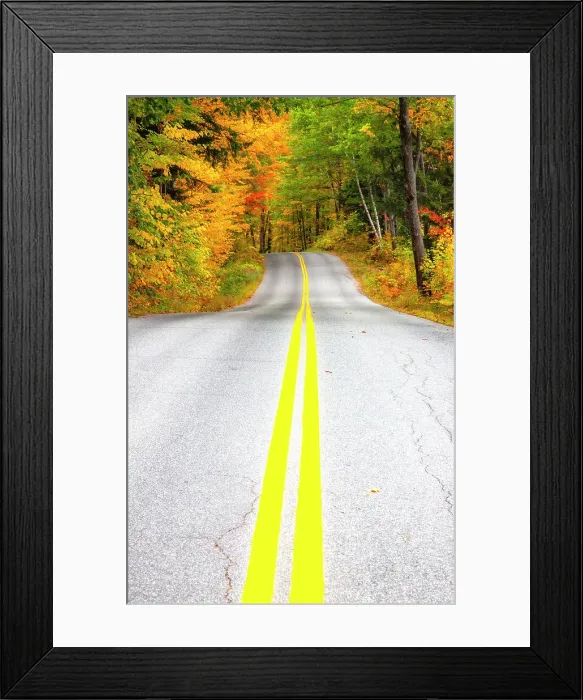 Framed Print : USA, Maine, Highway 113 lined by Maple and Birch trees in full Autumn color Date: 03-10-2013