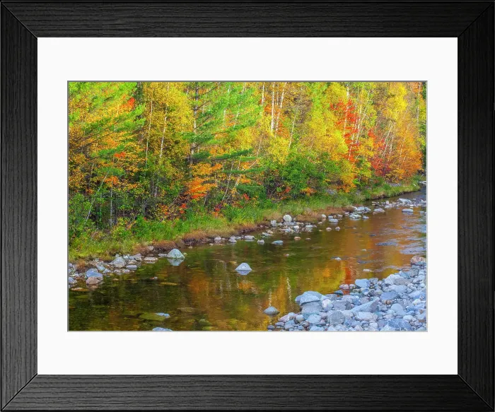 Framed Print : USA, New England, Maine, Wild River, reflections of Autumn colors in small river Date: 04-10-2013 Framed Print : USA, New England, Maine, Wild River, reflections of Autumn colors in small river Date: 04-10-2013
