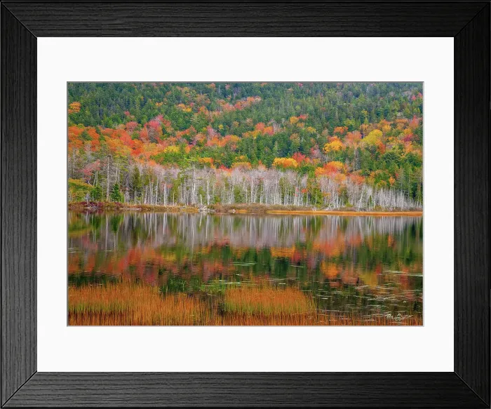 Framed Print : USA, New England, Maine, Mt. Desert Island, Acadia National Park with small lake with hillsides in Autumns color reflected Date: 11-10-2013 Framed Print : USA, New England, Maine, Mt. Desert Island, Acadia National Park with small lake with hillsides in Autumns color reflected Date: 11-10-2013