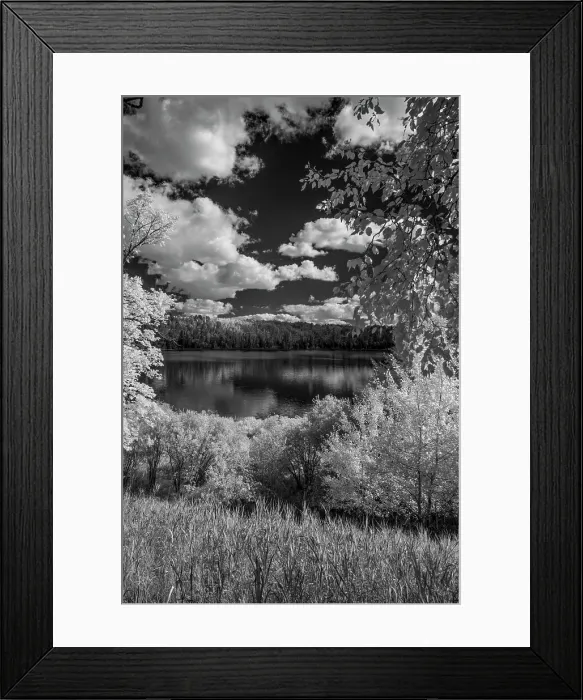 Framed Print : USA, Minnesota, La Salle State Recreation area Date: 29-08-2020 Framed Print : USA, Minnesota, La Salle State Recreation area Date: 29-08-2020