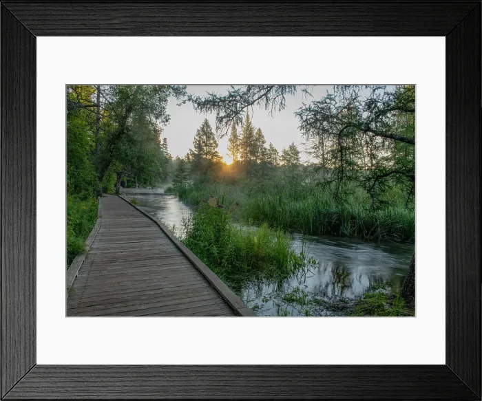 Framed Print : USA, Minnesota, Itasca State Park, Mississippi Headwaters Date: 17-08-2020 Framed Print : USA, Minnesota, Itasca State Park, Mississippi Headwaters Date: 17-08-2020