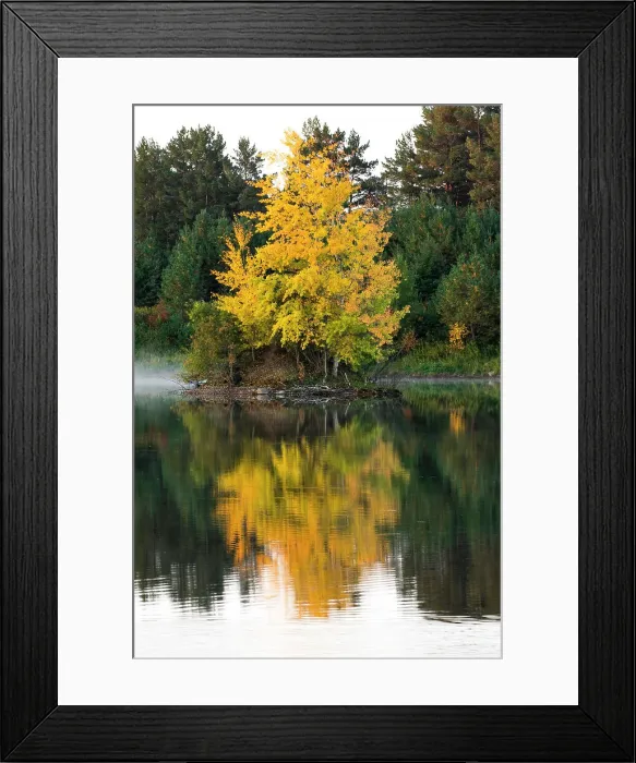 Framed Print : USA, Minnsota, Duluth, Fall Color Date: 23-09-2020 Framed Print : USA, Minnsota, Duluth, Fall Color Date: 23-09-2020