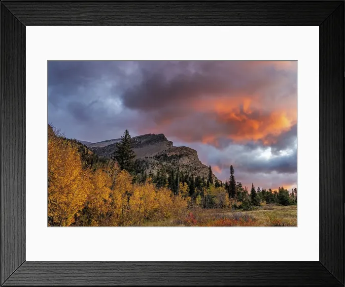 Framed Print : Sunrise clouds over Bear Mountain in Glacier National Park, Montana, USA Date: 29-09-2021 Framed Print : Sunrise clouds over Bear Mountain in Glacier National Park, Montana, USA Date: 29-09-2021