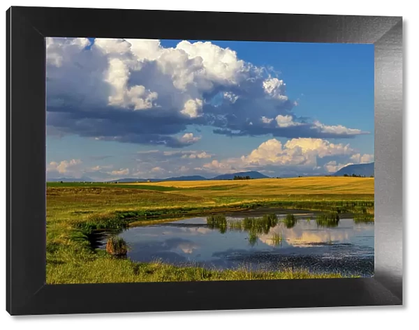 Wetlands pond in the Flathead Valley, Montana, USA Date: 13-09-2021