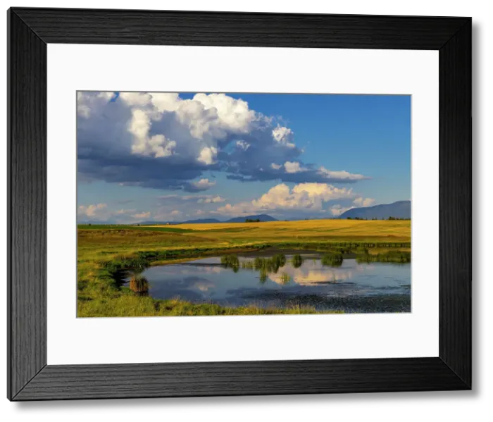 Framed Print : Wetlands pond in the Flathead Valley, Montana, USA Date: 13-09-2021