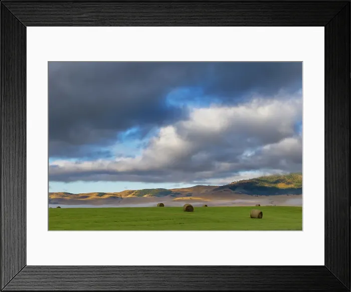 Framed Print : Hay bales in clearing fog with Salish Mountains in Lake County, Montana, USA Date: 28-08-2021 Framed Print : Hay bales in clearing fog with Salish Mountains in Lake County, Montana, USA Date: 28-08-2021