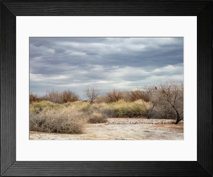 Framed Print : USA, Nevada, Las Vegas (on 2019 California Drought Expedition), Clark County Wetlands Park Date: 21-02-2019 Framed Print : USA, Nevada, Las Vegas (on 2019 California Drought Expedition), Clark County Wetlands Park Date: 21-02-2019