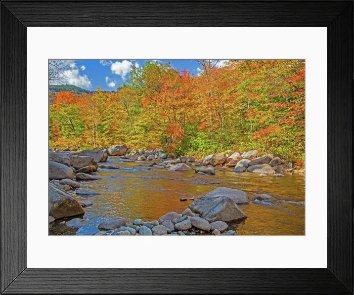 Framed Print : USA, New Hampshire, White Mountains National Forest and Swift River along Highway 112 in Autumn from the Hardwood Maple Trees Date: 02-10-2013 Framed Print : USA, New Hampshire, White Mountains National Forest and Swift River along Highway 112 in Autumn from the Hardwood Maple Trees Date: 02-10-2013