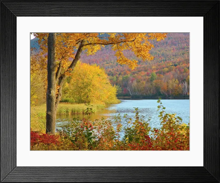 Framed Print : USA, New Hampshire, Franconia, small lake surrounded by Fall color of Maple, White Birch, and American Beech Date: 03-10-2013