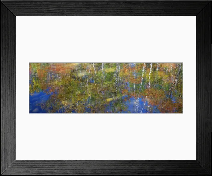 Framed Print : USA, New Hampshire, Gorham Autumn colors reflected in small pond Date: 03-10-2013 Framed Print : USA, New Hampshire, Gorham Autumn colors reflected in small pond Date: 03-10-2013